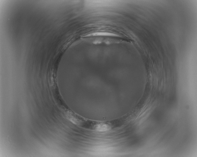 X0000066490169200603201306