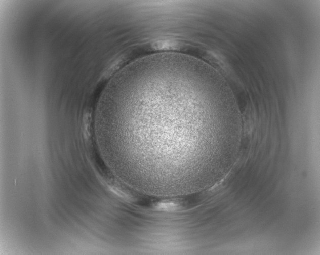 X0000066490171200603201306