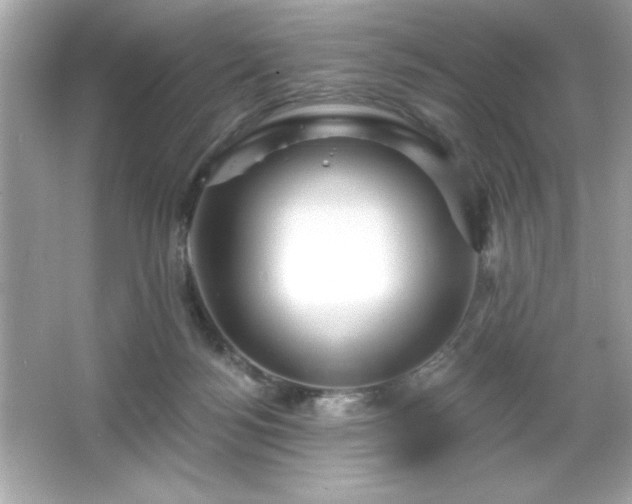 X0000066490172200603201306