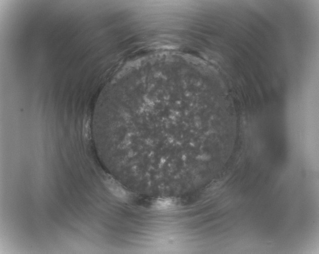 X0000066490177200603201306