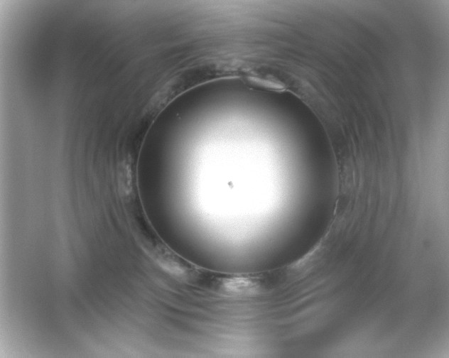 X0000066490183200603201306