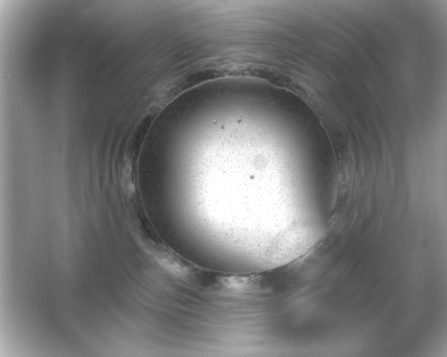 X0000066490187200603201306