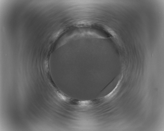 X0000066490192200603201307