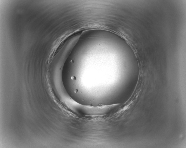 X0000066490193200603201306
