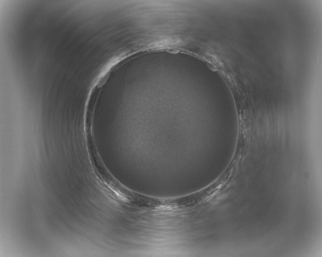 X0000066490196200603201306