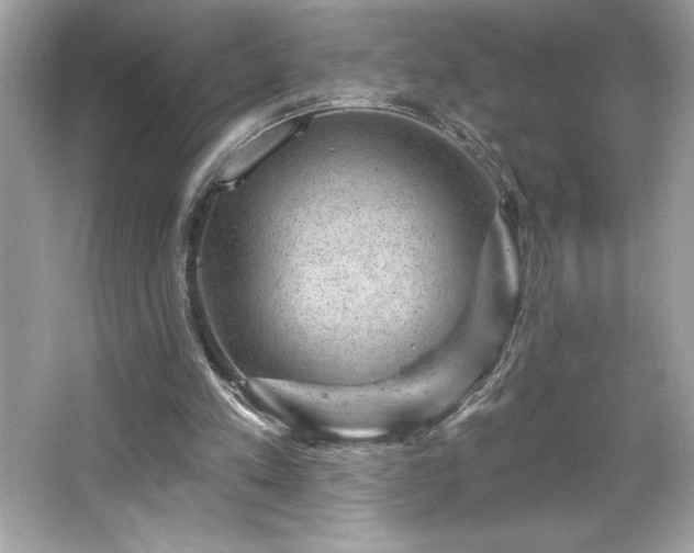 X0000066490197200603201306