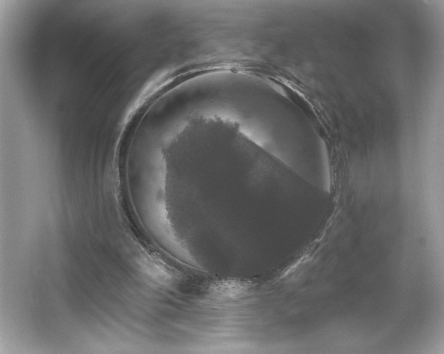 X0000066490198200603201306
