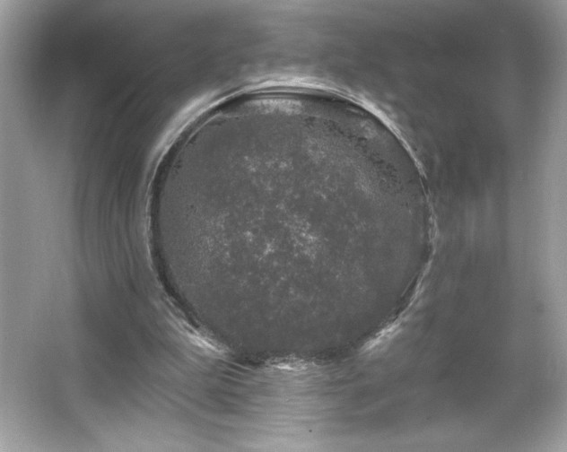 X0000066490199200603201306