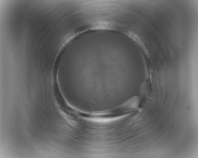 X0000066490204200603201306