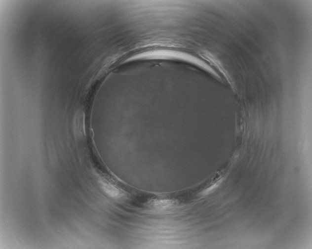 X0000066490205200603201305