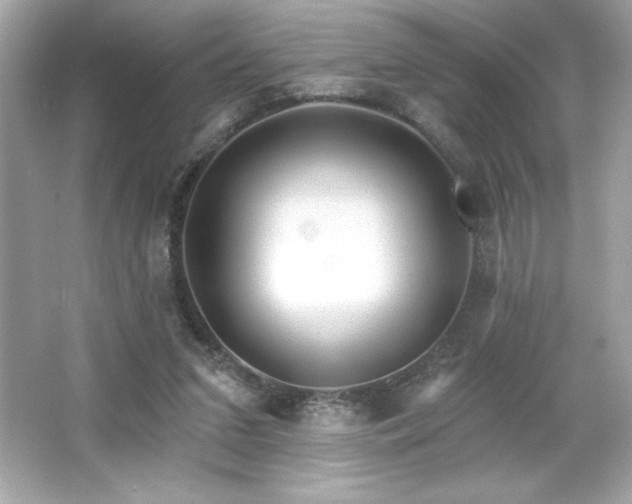 X0000066490207200603201305