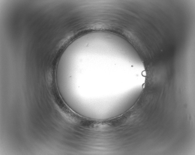X0000066490208200603201305