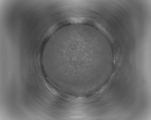 X0000066490209200603201305