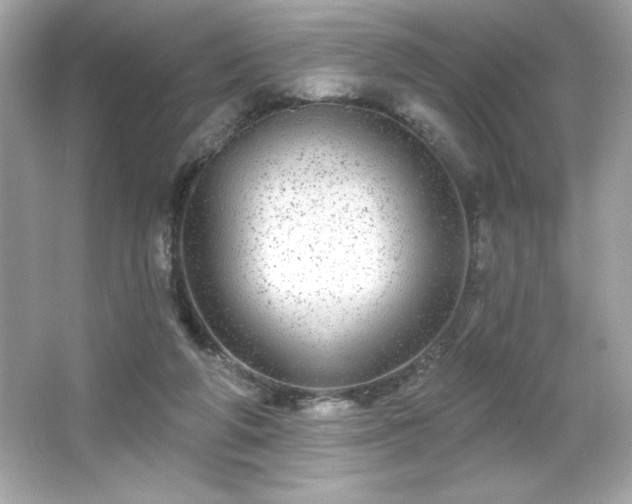 X0000066490210200603201305