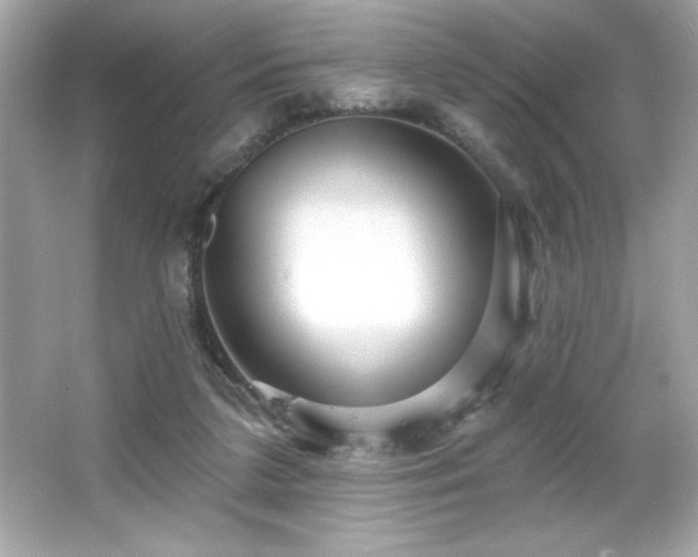 X0000066490211200603201305