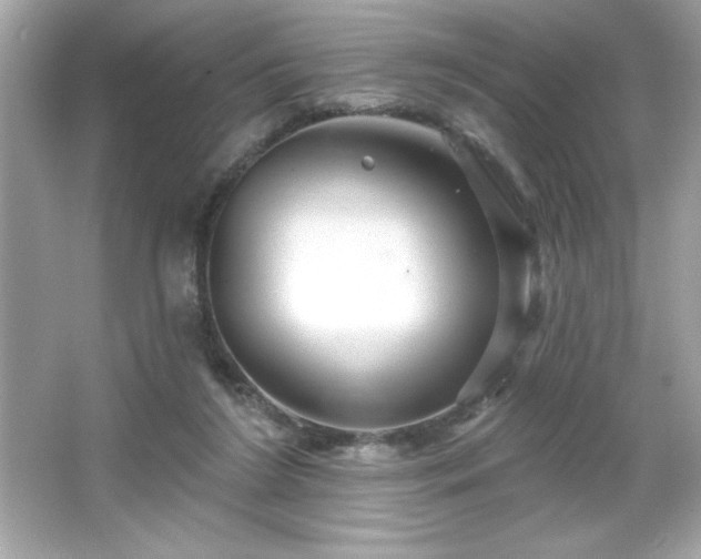 X0000066490212200603201305