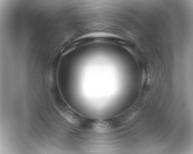 X0000066490215200603201305