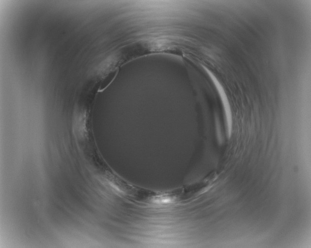 X0000066490219200603201305