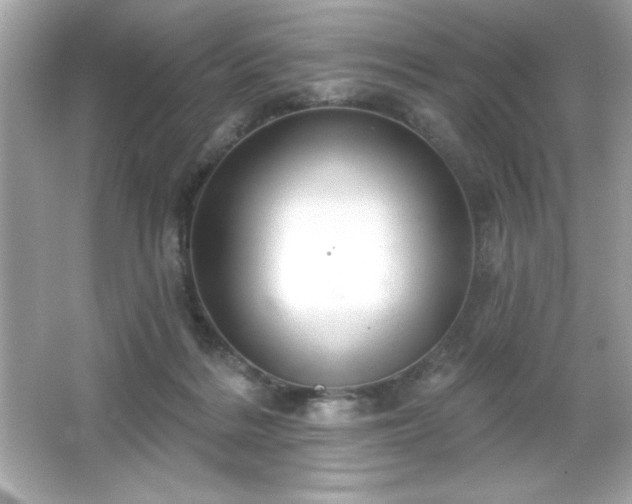 X0000066490220200603201305