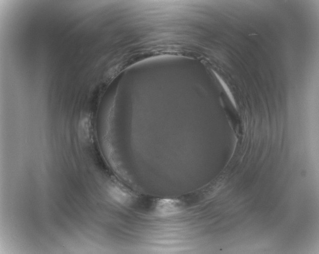 X0000066490222200603201305