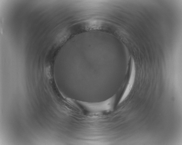 X0000066490224200603201305