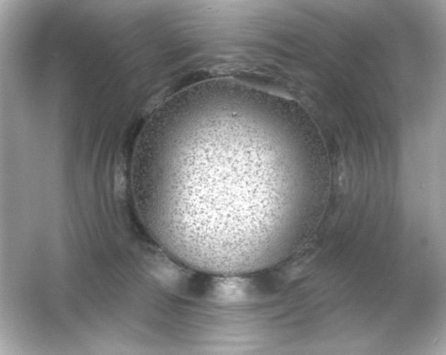X0000066490226200603201305