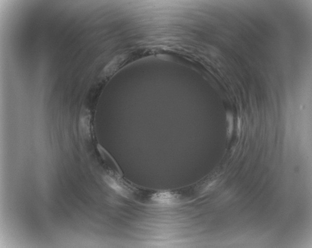 X0000066490231200603201305