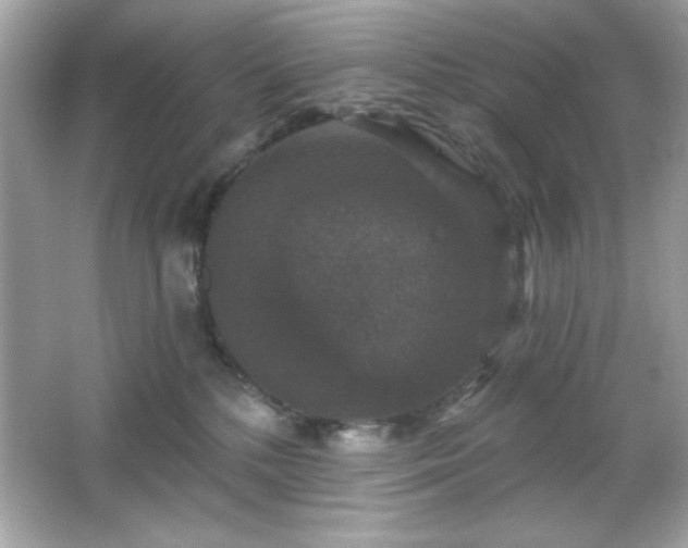 X0000066490232200603201305