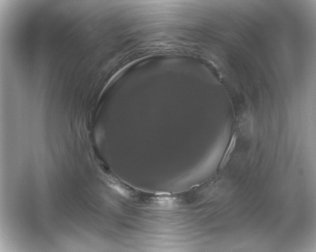 X0000066490233200603201305