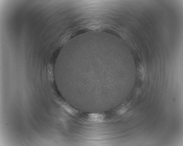 X0000066490234200603201305
