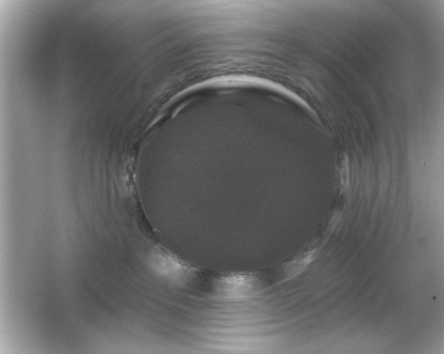 X0000066490237200603201305