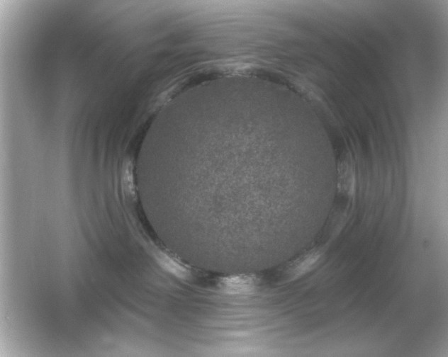 X0000066490238200603201305