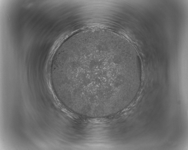 X0000066490241200603201304