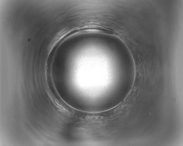 X0000066490242200603201304