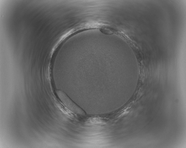 X0000066490244200603201304