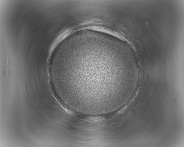 X0000066490245200603201304