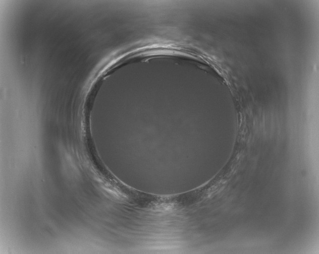 X0000066490247200603201304