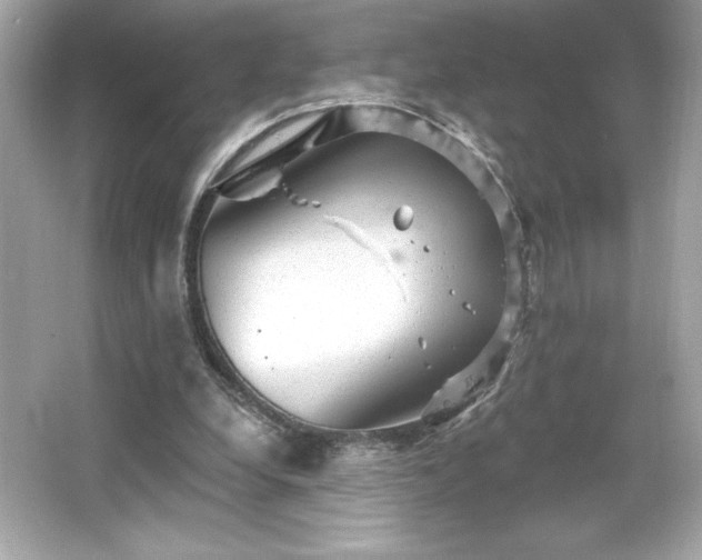 X0000066490248200603201304