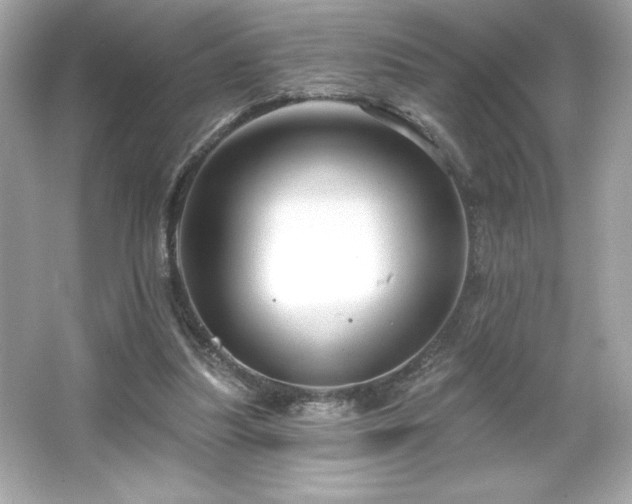 X0000066490251200603201304