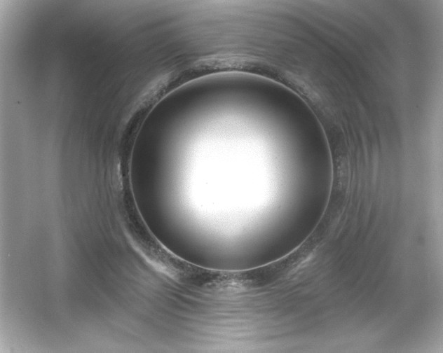 X0000066490254200603201304