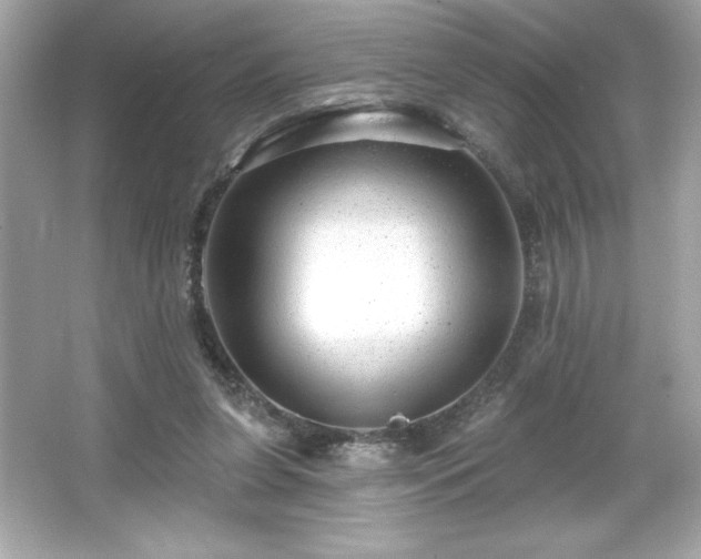 X0000066490255200603201304