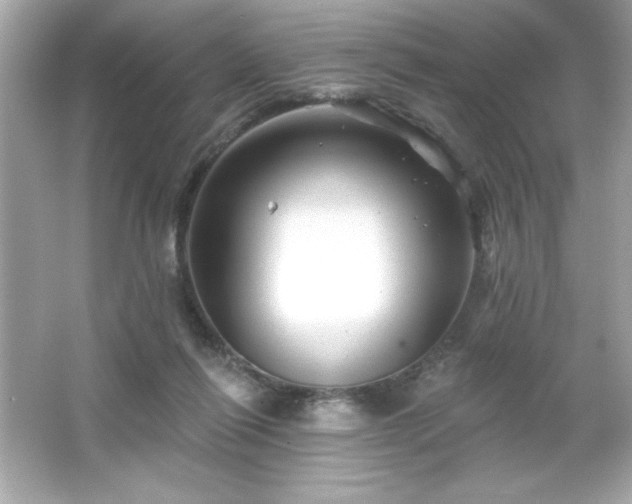 X0000066490262200603201304