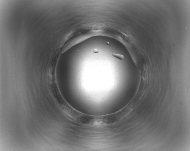 X0000066490264200603201304