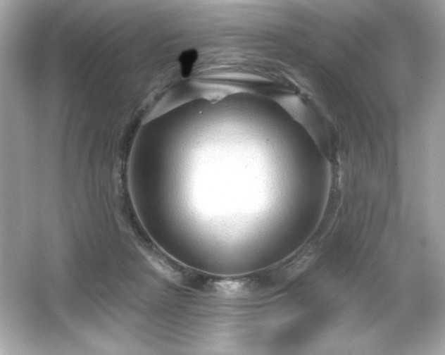 X0000066490265200603201304