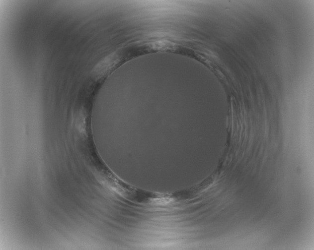X0000066490266200603201305