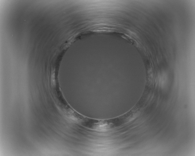 X0000066490267200603201305