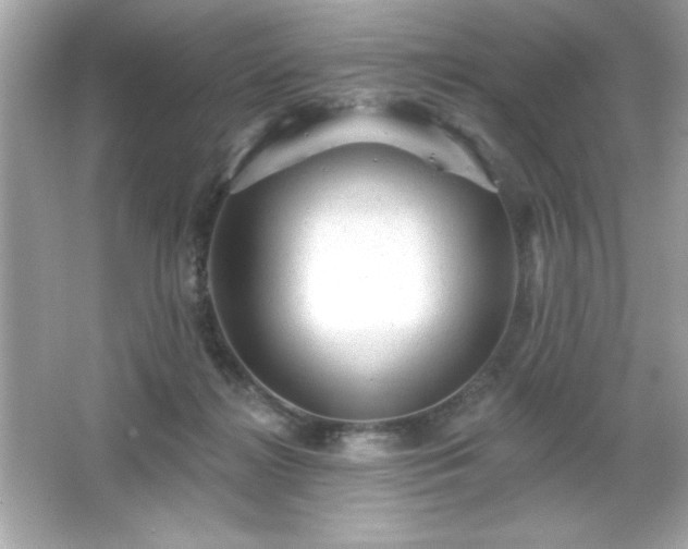 X0000066490268200603201305