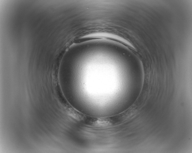 X0000066490270200603201305