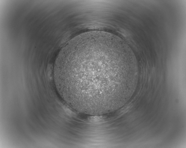 X0000066490273200603201305