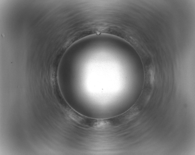 X0000066490274200603201305